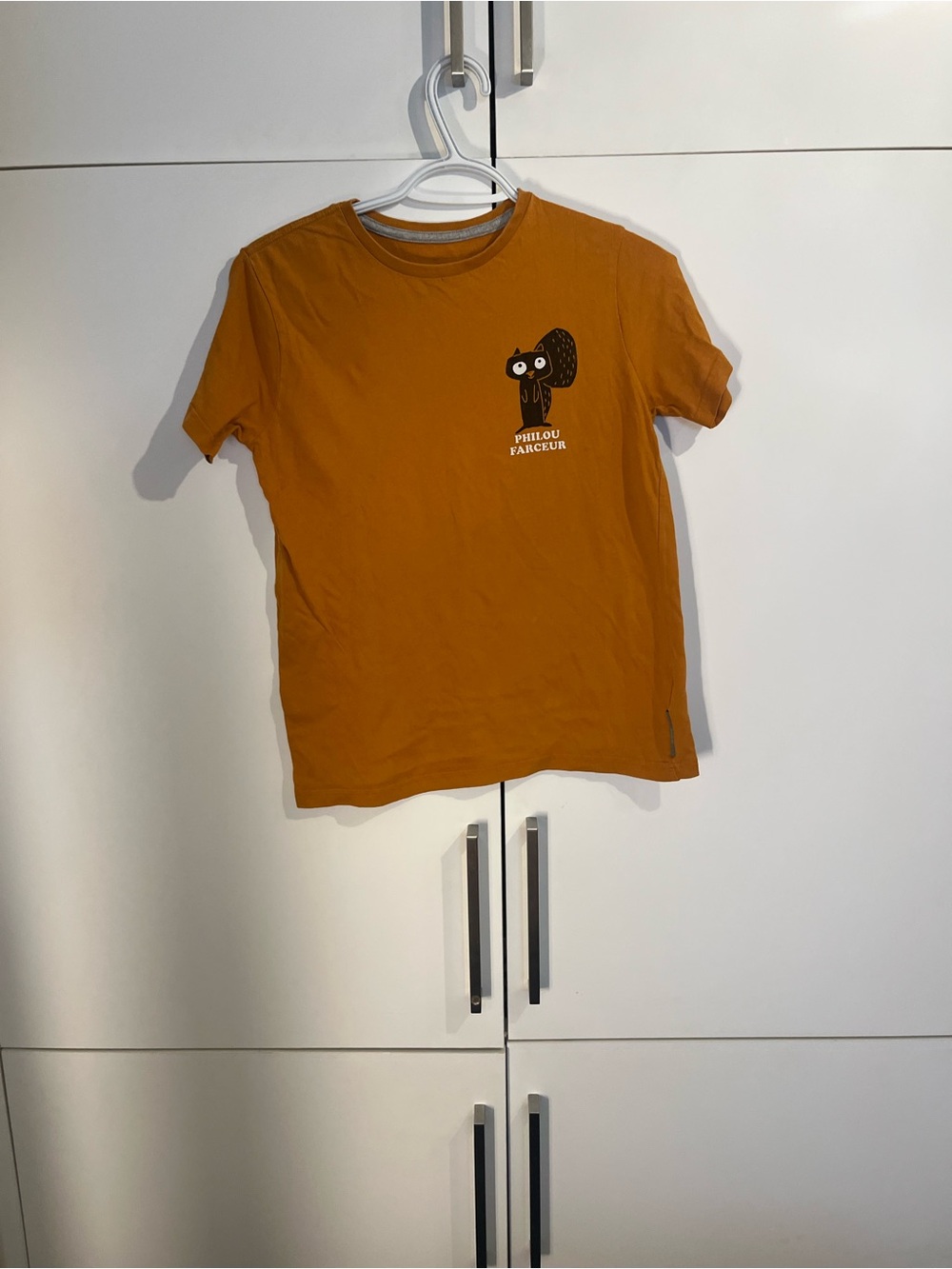 Kids Short Sleeve Tee with Squirrel Graphic - Mustard 12 yo